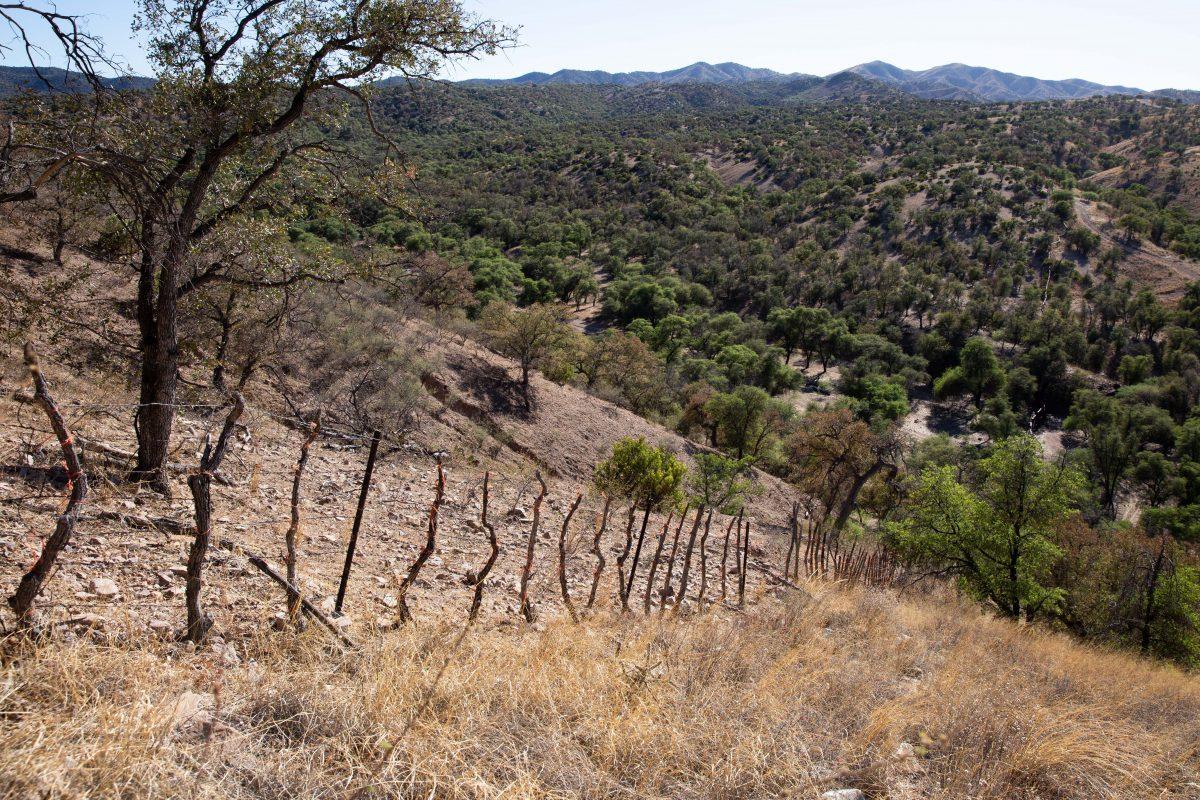 The U.S.-Mexico border where the border is demarcated by a small, barbed wire fence, west of Nogales, Ariz., on May 23, 2018. (Samira Bouaou/The Epoch Times)