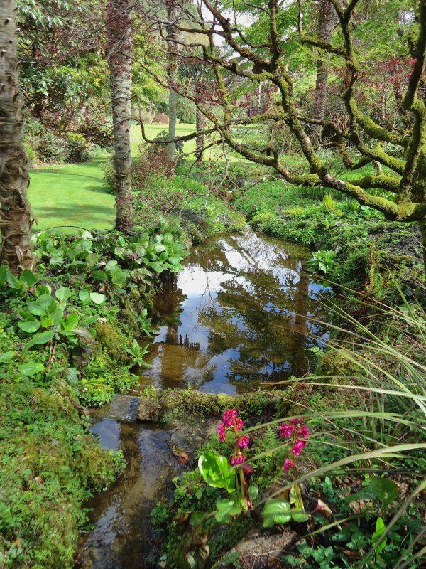 Glenveagh Castle botanical garden. (Susan James)
