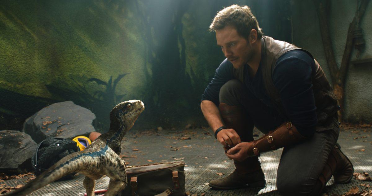 Velociraptor Blue has imprinted on Owen (Chris Pratt) in "Jurassic World: Fallen Kingdom." (Giles Keyte/Universal Studios/Amblin Entertainment, Inc./Legendary Pictures Productions, LLC)