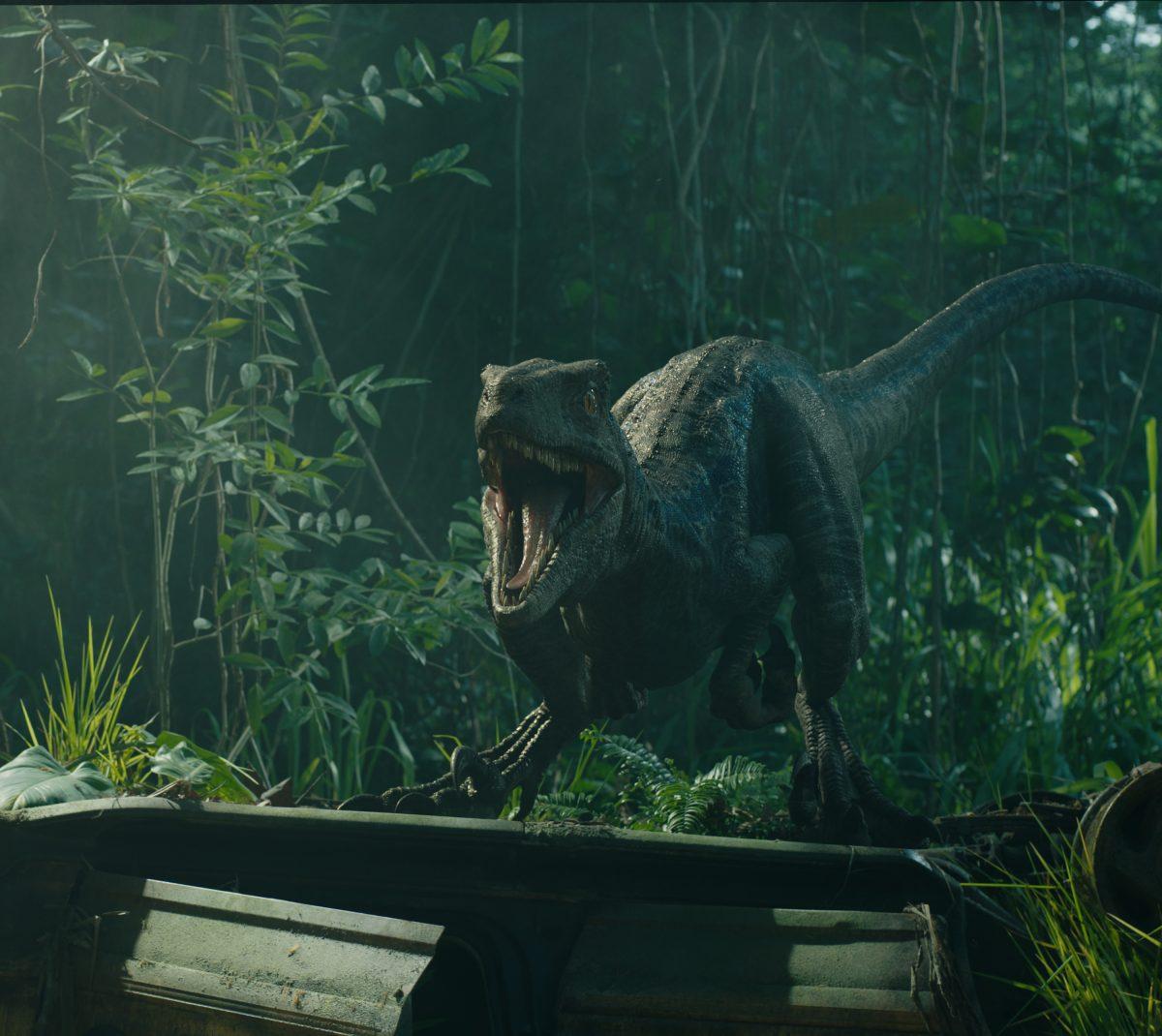 Velociraptor Blue in "Jurassic World: Fallen Kingdom." (Giles Keyte/Universal Studios/Amblin Entertainment, Inc./Legendary Pictures Productions, LLC)