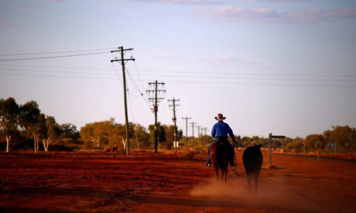 Against the Grain: Australian Banks Face Rural Lending Reckoning