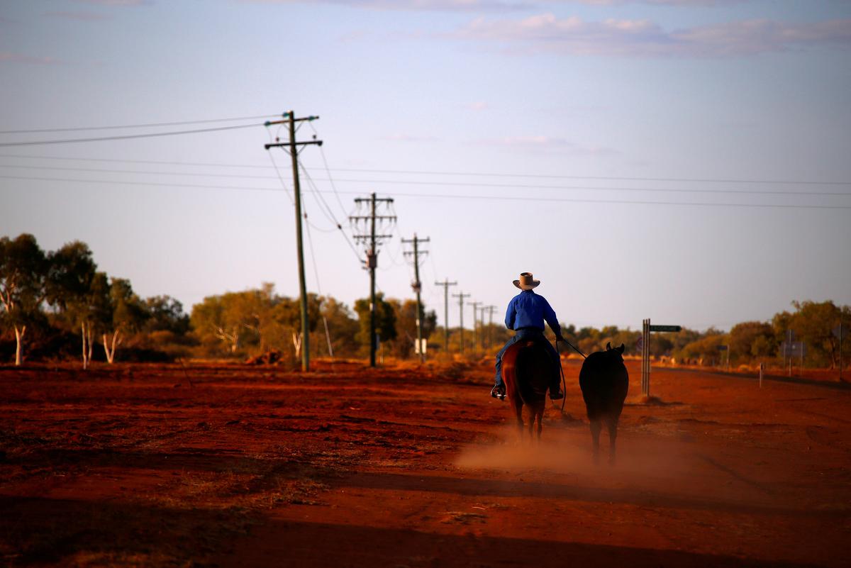 Against the Grain: Australian Banks Face Rural Lending Reckoning