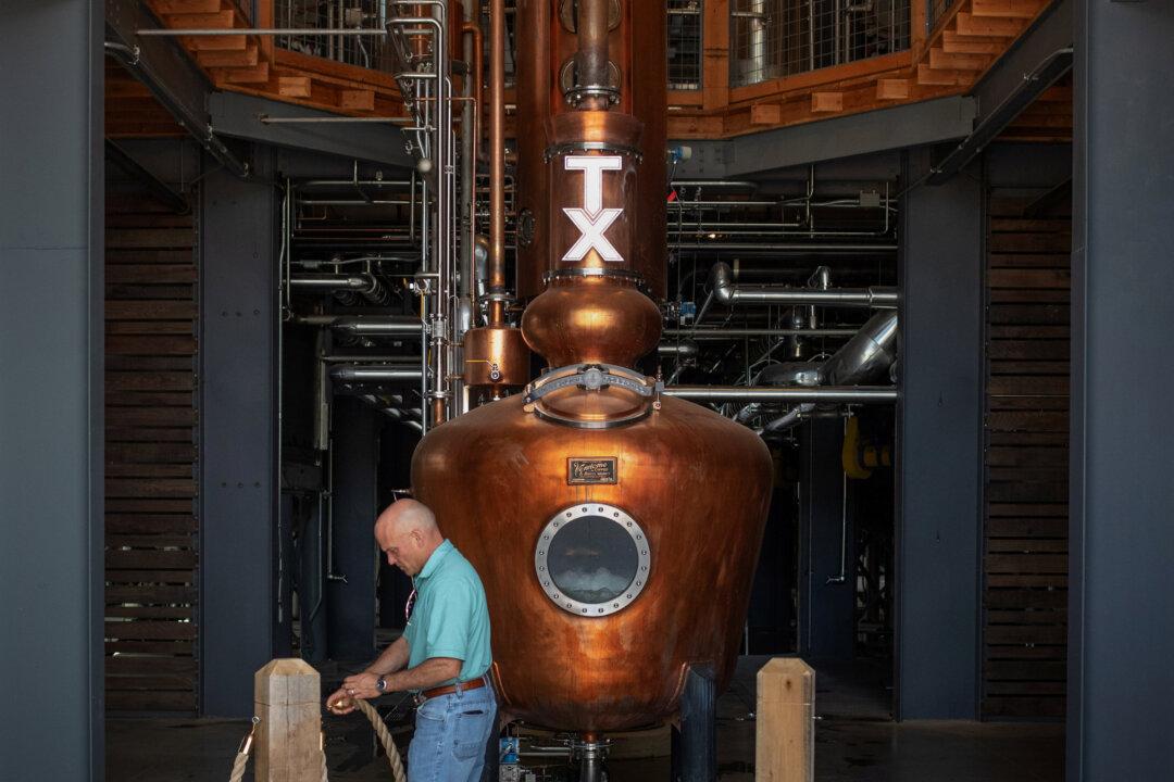 Fields of Dreams: Texas Project Seeks New Corn Strains for Whiskey