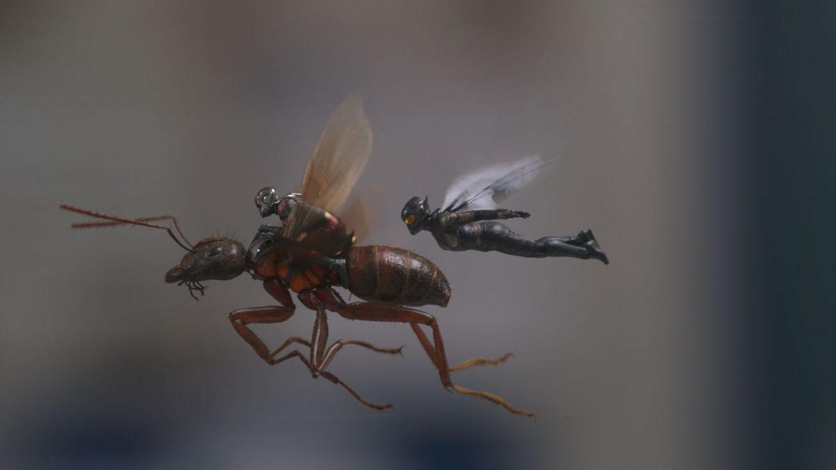 Ant-Man/Scott Lang (Paul Rudd, L) and the Wasp/Hope Van Dyne (Evangeline Lilly) in “Ant-Man and the Wasp.” (Walt Disney Studios Motion Pictures/Marvel Studios)