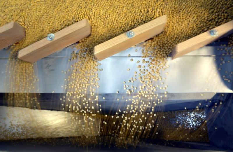 US Soy Acres Top Corn for the First Time Since 1983: USDA