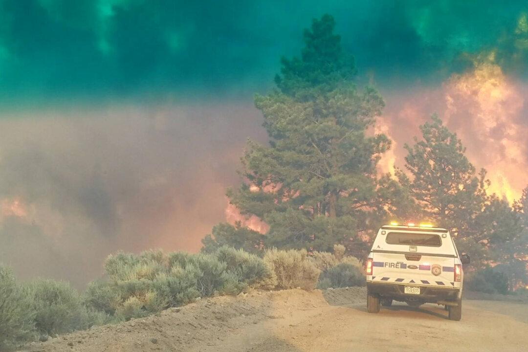 Fast-Spreading California Wildfire Forces Evacuations in Yolo County