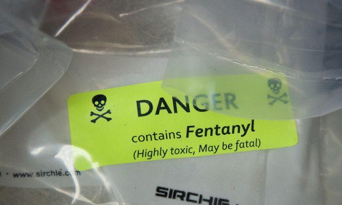 Senators Urge China to Curb Flow of Chemicals Used in Fentanyl Production