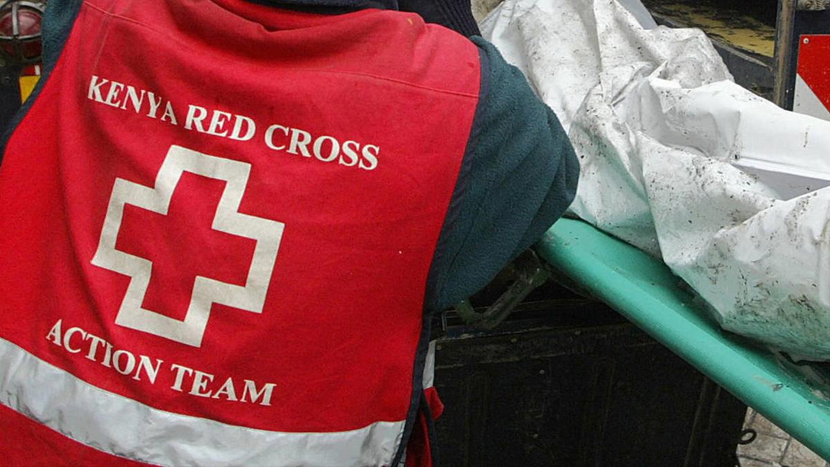 Nine Dead and Dozens Injured in Road Accident in Kenya