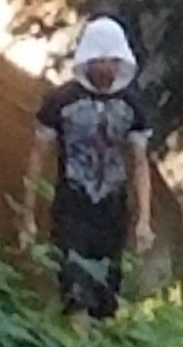 A cell phone picture of a male accused of attempting to rape a woman in Bronx River Forest Park on July 9, 2018. (NYPD)