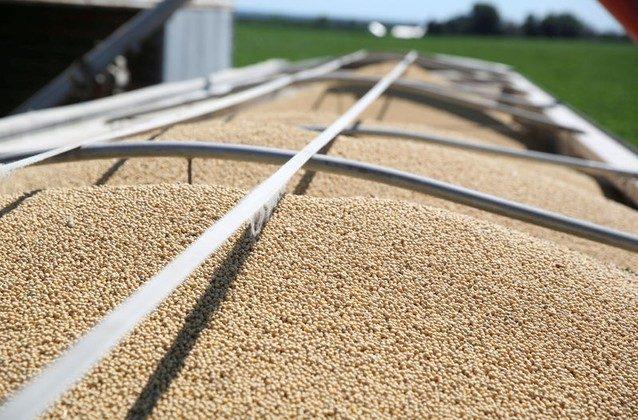 Importers Snap up Cheap US Soybeans as China Stops Buying