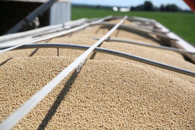 Importers Snap up Cheap US Soybeans as China Stops Buying