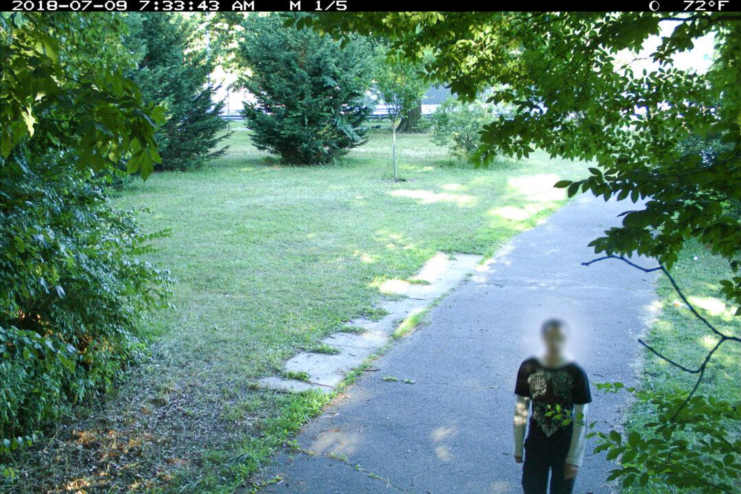 14-Year-Old Arrested in Attempted Rape of Jogger in Bronx Park