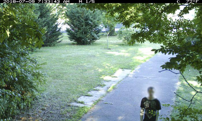 14-Year-Old Arrested in Attempted Rape of Jogger in Bronx Park