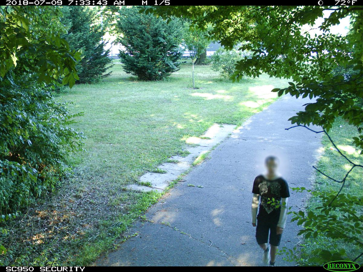 14-Year-Old Arrested in Attempted Rape of Jogger in Bronx Park