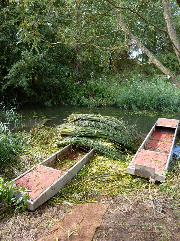 Two punts ready to be loaded with bulrush. (Rush Matters)