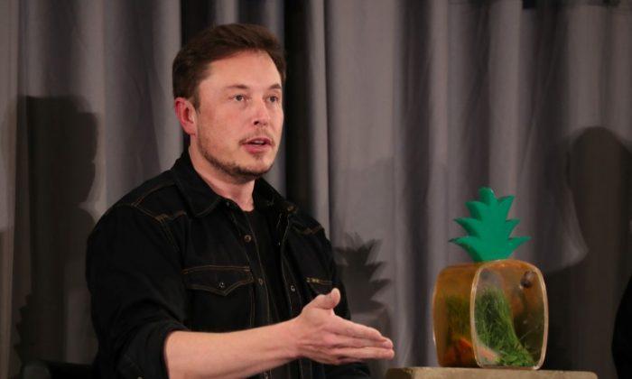 Tesla’s Musk Apologizes for Comments on British Caver