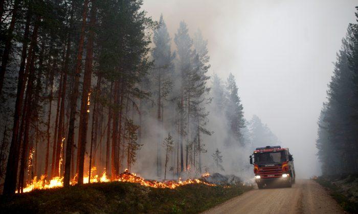 Severe Forest Fires Raging Across Drought-Stricken Sweden