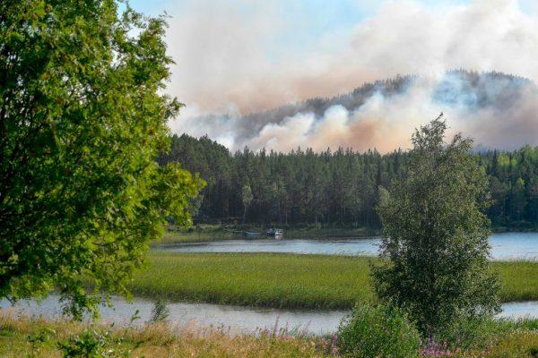 Forest fires burn near Ljusdal, Sweden, on July 17, 2018. (Maja Suslin/AFP/Getty Images)