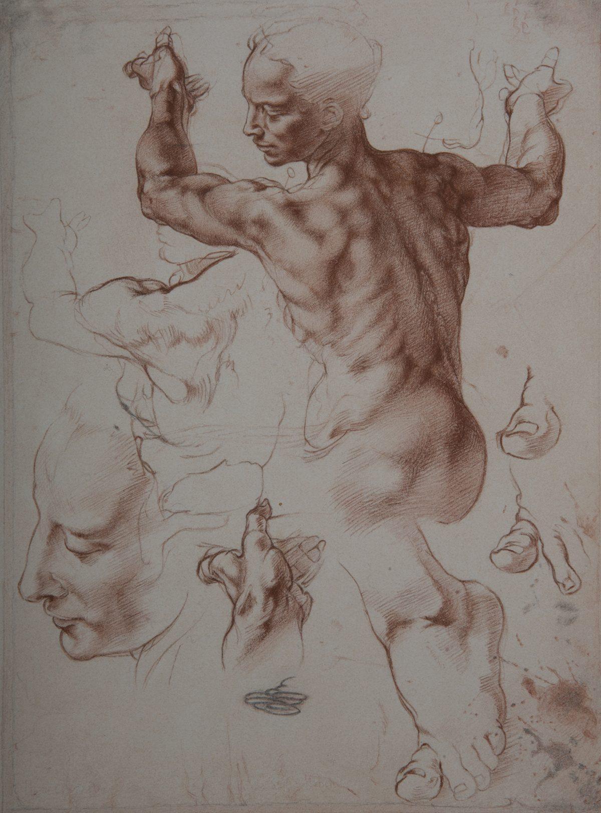 Drawing, 2018 (after Michelangelo Buonarroti (1475–1564) “Studies for the Libyan Sibyl,” circa 1510–1511) by Carlos Madrid. Sanguine on prepared paper, 11 3/8 inches by 8 7/16 inches. (Robert Essel)