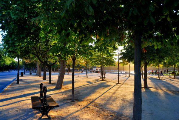 Parque del Buen Retiro (park of pleasant retreat) in Madrid. (Fernando García Redondo/Wikimedia Commons)