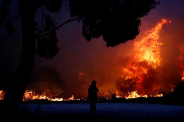 A man looks at the flames as a wildfire burns in the town of Rafina, near Athens, Greece, July 23, 2018. (Reuters/Costas Baltas)