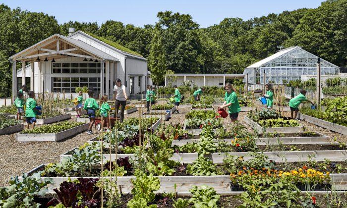 Edible Academy Opens at The New York Botanical Garden