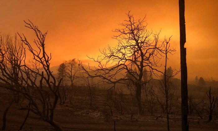 Deadly Northern California Wildfire Grows by Two-Thirds Overnight