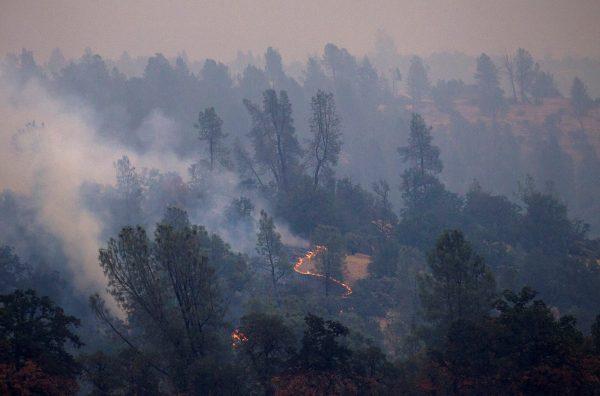 The Carr Fire burns west of Redding, Calif., on July 28, 2018. (REUTERS/Bob Strong)