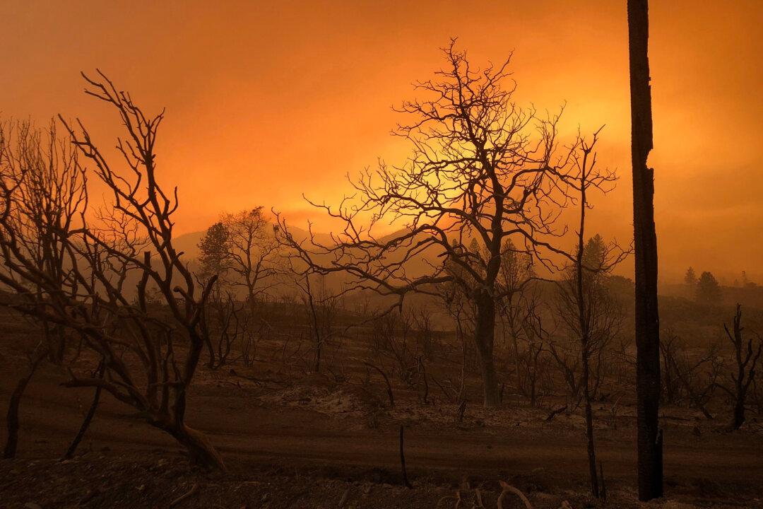 Woman, Her 2 Great-Grandchildren Found Dead in California Fire
