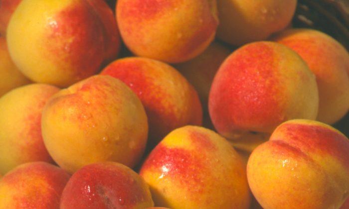 Where to Go Peach-Picking in South Carolina