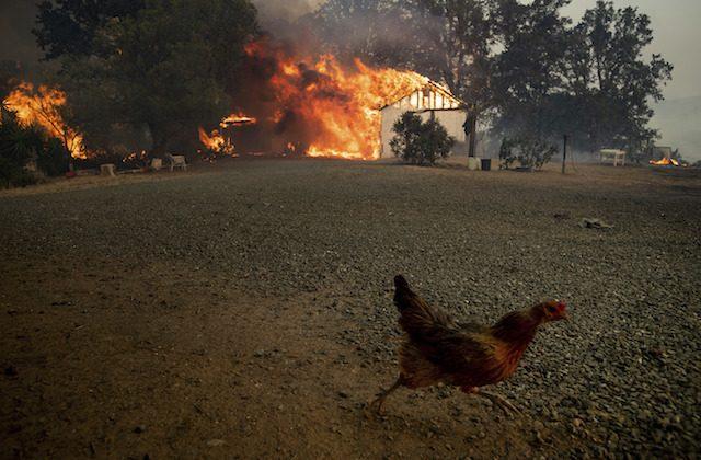 California Governor Pledges Any Resources Needed for Fires