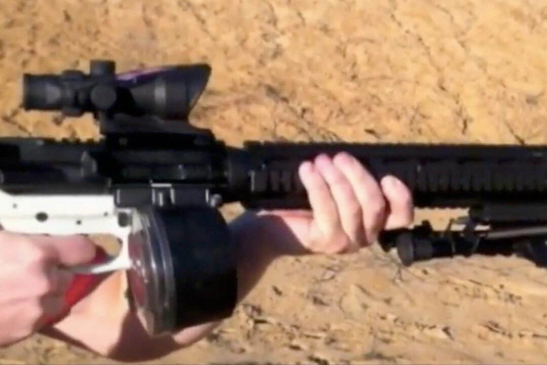 Court Orders Halt to Download of Designs for 3-D Printable Guns