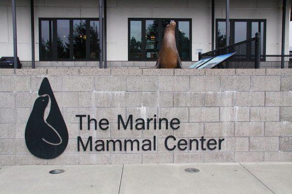The front entrance to Marine Mammal Center in the Marin Headlands in Sausalito, Calif., on September 10, 2012. (Canticle/WikipediaCommons)