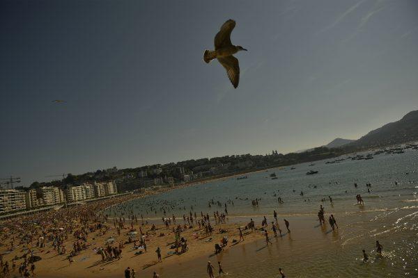 A seagull flies over at La Concha beach during a hot summer day in the basque city of San Sebastian, northern Spain, Friday, Aug. 3, 2018. (AP Photo/Alvaro Barrientos)