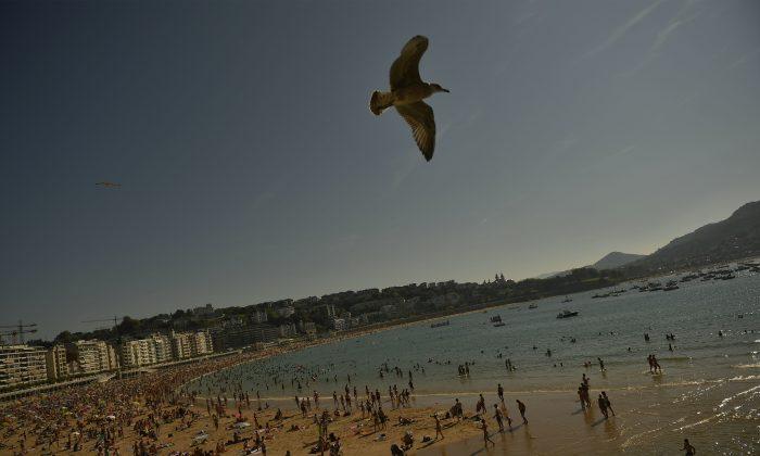 Red Alerts for Portugal, Spain Amid Smothering Heat Wave