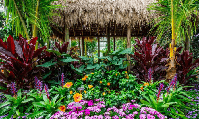 Aloha NYC: New York Botanical Garden Celebrates Culture of Hawaii