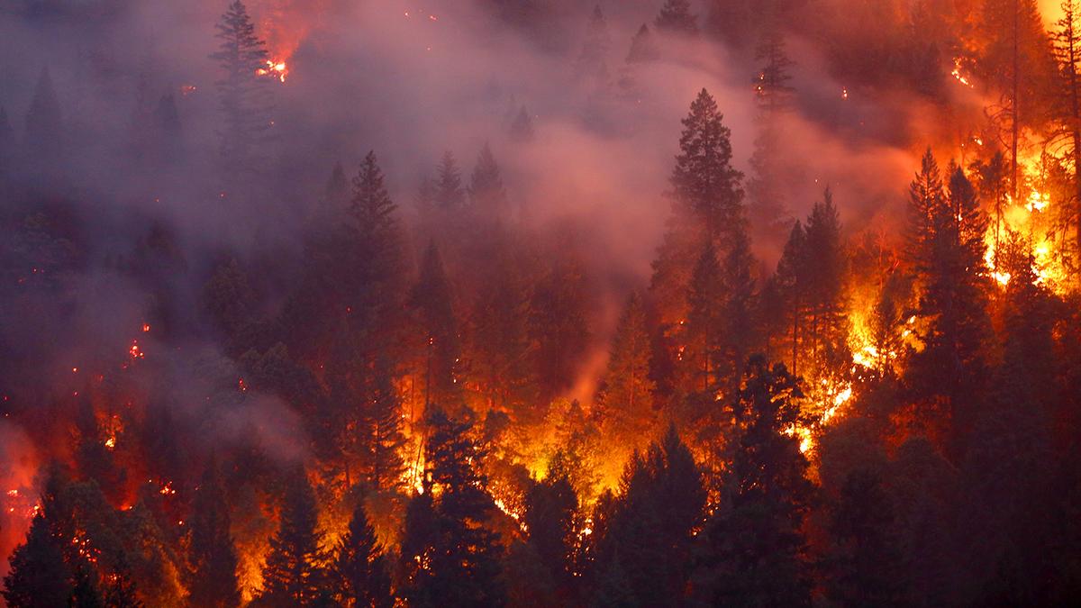 US Army Sends Soldiers to Battle Western Wildfires