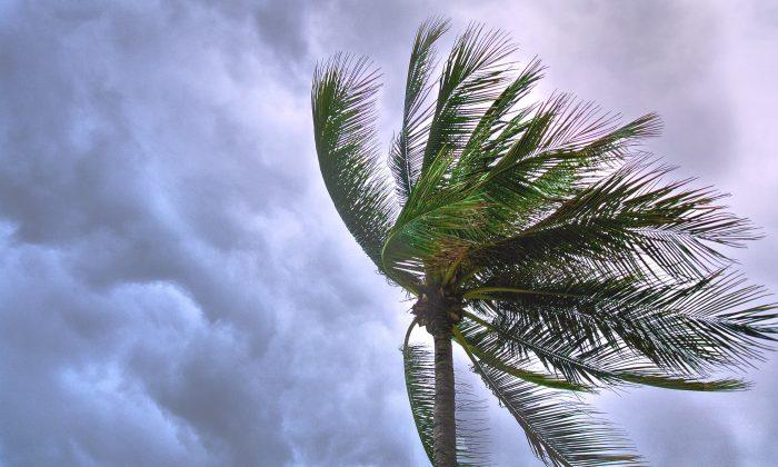 Hurricane John Forms Off Mexico’s Pacific Coast