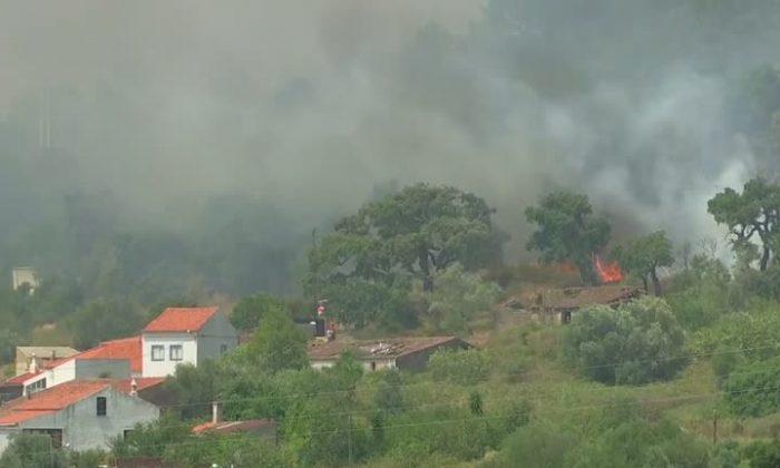 1,000 Firefighters Mobilized as Wildfire Resurges in Portugal