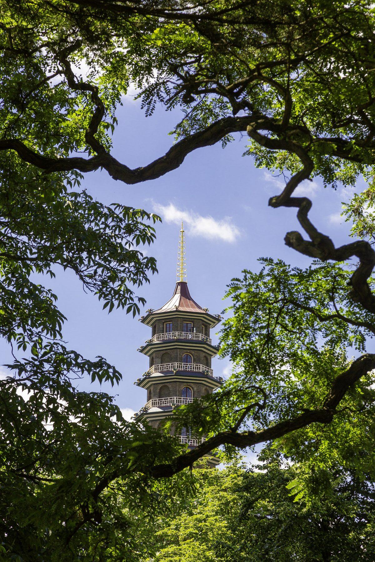 The peak of Sir William Chambers's newly restored Great Pagoda as seen between the trees at Kew Gardens. (Richard Lea-Hair/Historic Royal Palaces)