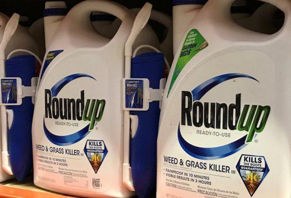 Monsanto Co's Roundup is shown for sale in Encinitas, California on June 26, 2017. (REUTERS/Mike Blake)