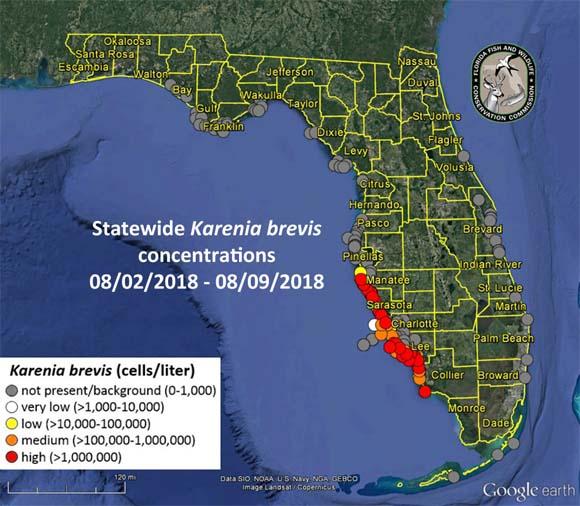 Red tide locations in southwest Florida. (Florida Fish and Wildlife Conservation Commission)