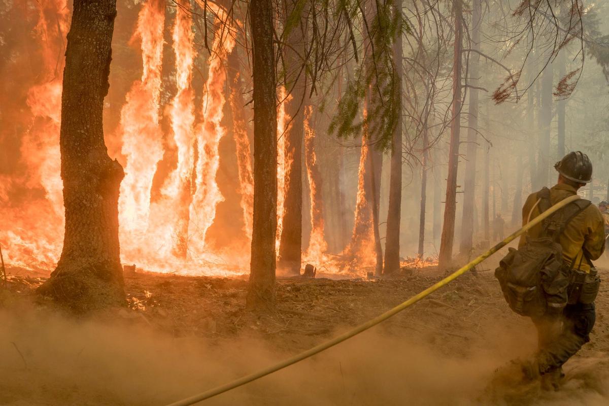 Fire That Prompted Closure of Parts of Yosemite Park Is Contained