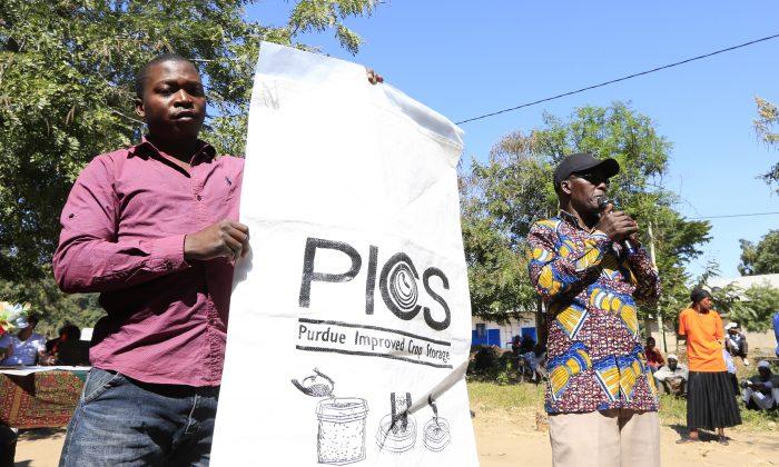 New Sack Technology Goes Long Way in Safeguarding Grain for Tanzanian Farmers