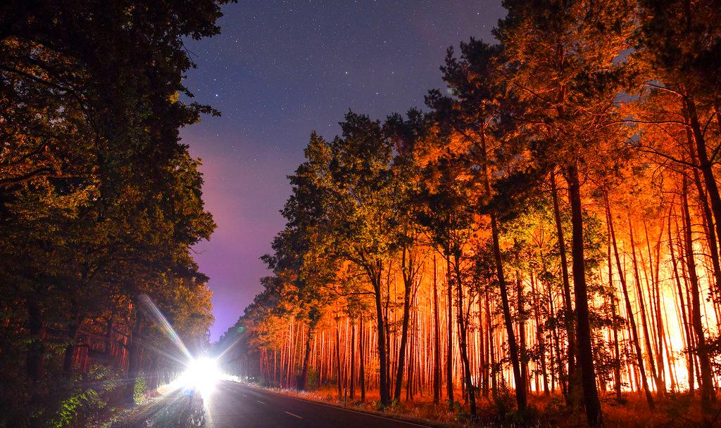 A forest is light by wildfires near the village Klausdorf, about 85 kilometers (53 miles) south of Berlin on Friday, Aug. 24, 2018. (Patrick Pleul/dpa/AP)