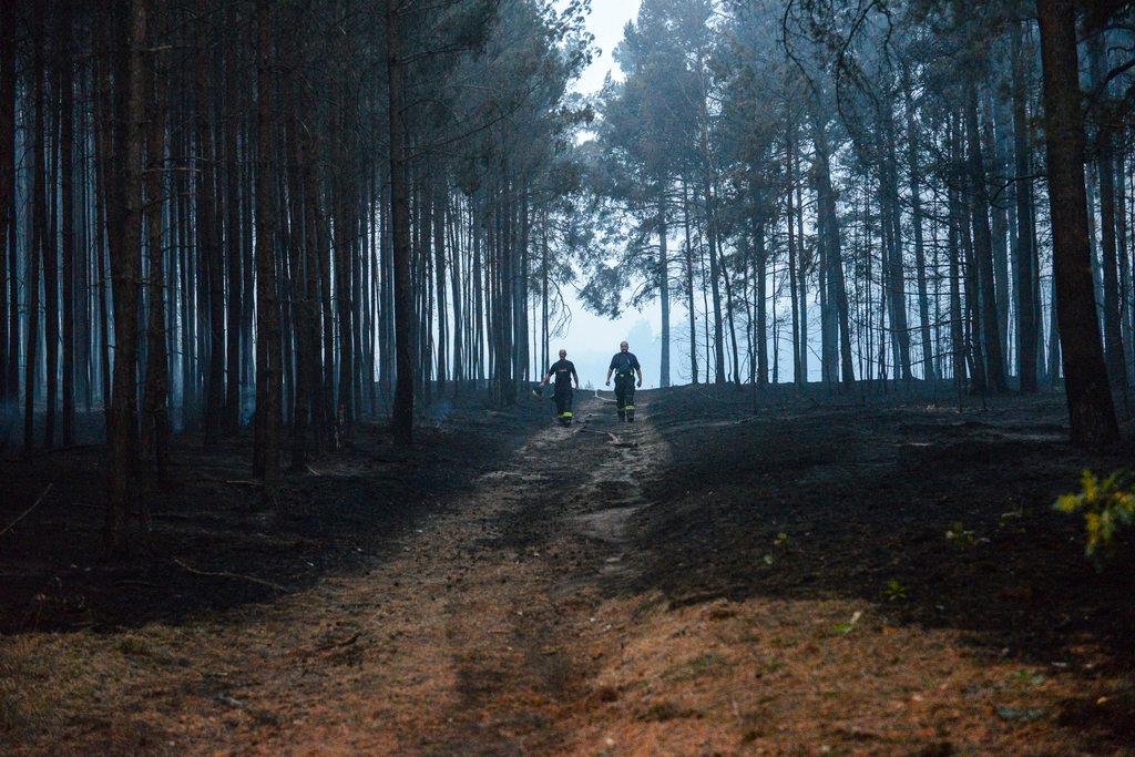 Firefighters walk through a forest in Treuenbrietzen, south of Berlin, Friday, Aug. 24, 2018 after a wildfire with the size of 400 soccer fields. (Julian Staehle/dpa/AP)