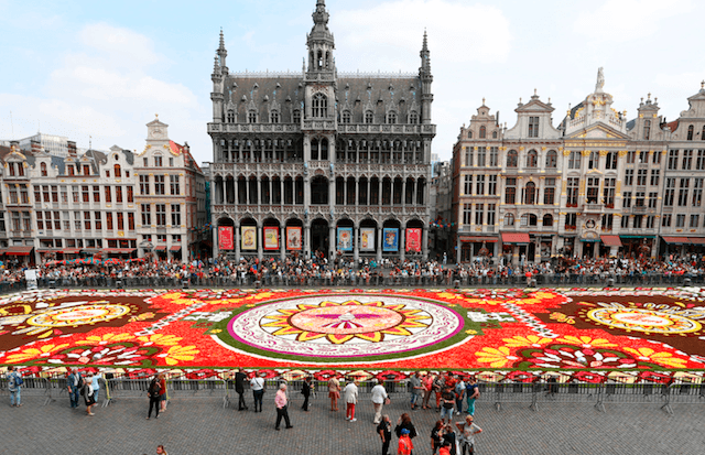 Brussels Flower Carpet Blossoms on Iconic Grand Place