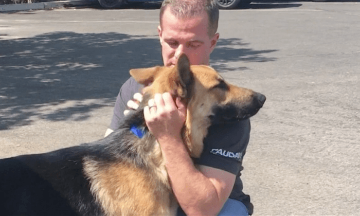 Firefighter Adopts Dog Found Lost at Mendocino Complex Fire
