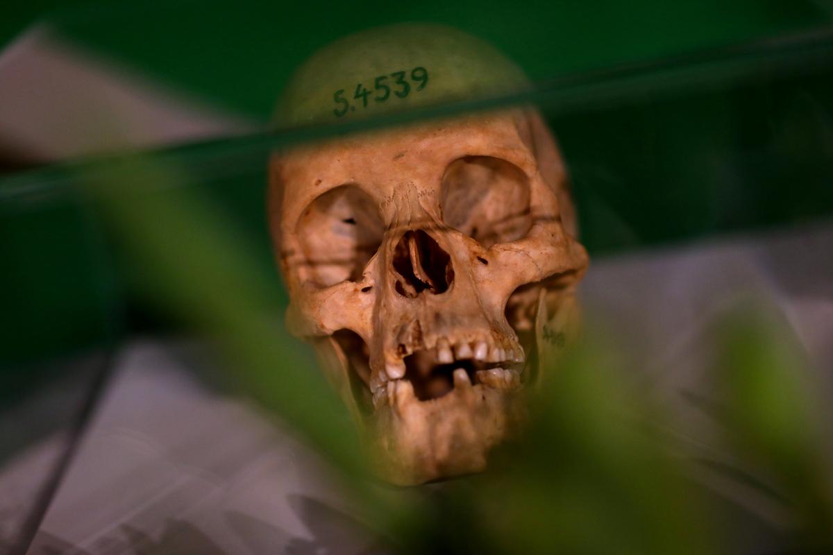 Germany Returns Skulls, Other Remains From Colonial-Era Massacre to Namibia
