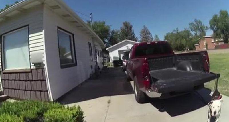 Police in Ogden, Utah, have released a bodycam video of an officer shooting a dog earlier in August, and officials have cleared the officer in question. (Ogden Police Department)